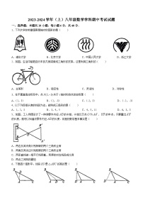 福建省莆田市荔城区第一教研片区2023-2024学年八年级上学期期中数学试题(无答案)