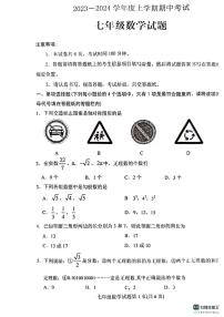 山东省泰安市肥城市2023-2024学年七年级上学期期中考试数学试题