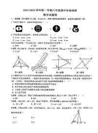 2023-2024学年无为市八年级上册11月期中数学试卷含答案