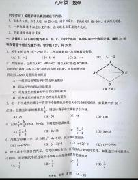 贵州省六盘水市水城区2023-2024学年九年级上学期11月期中数学试题