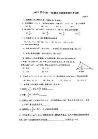 上海市第三女子初级中学2023-2024学年九年级上学期期中考试数学试题