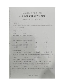 海南省海口市11校2023-2024学年九年级上学期期中检测数学试题