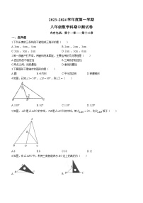 广东省汕头市潮南区司马浦初中学校联考2023-2024学年八年级上学期期中数学试题