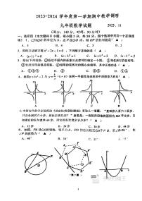 江苏省徐州市睢宁县2023-2024学年九年级上学期11月期中数学试题