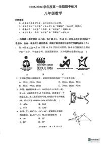 安徽省合肥市庐江县2023-2024学年八年级上学期11月期中数学试题