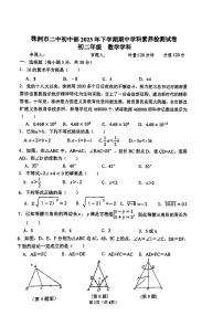 湖南省株洲市第二中学初中部2023-2024学年八年级上学期期中考试数学试题