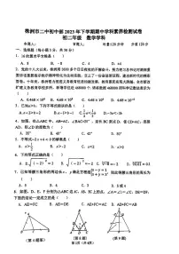 湖南省株洲市第二中学初中部2023-2024学年八年级上学期期中考试数学试题