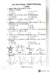 安徽省合肥市第五十中学东校2023--2024学年上学期九年级期中调研数学试卷