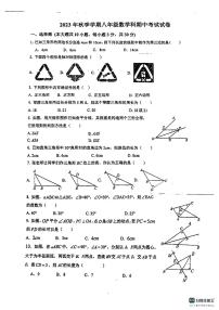 _广东省 惠州市博罗县博罗中学初中部2023-2024学年八年级上学期数学期中试卷