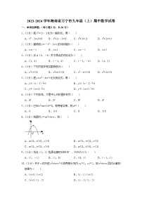 海南省万宁市2023—2024学年上学期九年级期中数学试卷