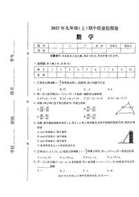 湖南省邵阳市2023-2024学年九年级上学期11月期中数学试题