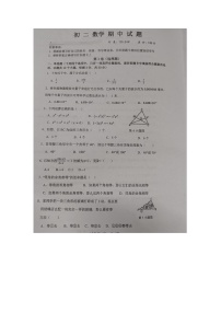 湖南省株洲市天元区株洲市二中莲花中学2023-2024学年八年级上学期11月期中数学试题