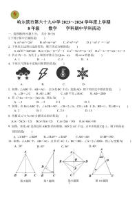 黑龙江省 哈尔滨市 南岗区第六十九中学校2023—2024学年八年级上学期期中数学 试题