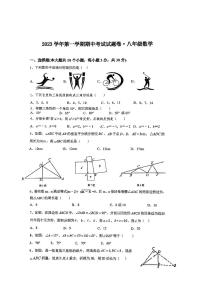 浙江省绍兴市新昌县 西郊中学2023-2024学年八年级上学期11月期中数学试题