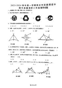 _江苏省常州市 田家炳初级中学2023-2024学年上学期 期中质量调研八年级数学试题