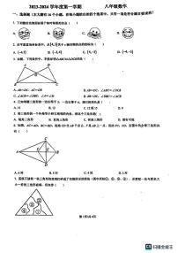 河北省廊坊市第五中学2023-2024学年八年级上学期11月期中数学试题