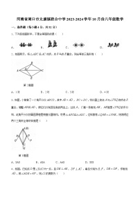 河南省周口市太康县朱口镇联合中学2023-2024学年八年级上学期10月月考数学试题