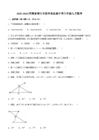 河南省周口市西华县实验中学2023-2024学年八年级上学期10月月考数学试题