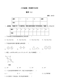 青海省海东市互助县第三片区五校联考2023-2024学年八年级上学期数学试题