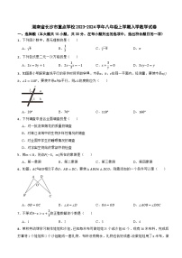 湖南省长沙市重点学校2023-2024学年八年级上学期入学数学试卷