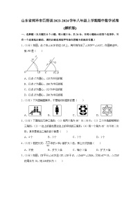 山东省菏泽市巨野县2023-2024学年八年级上学期期中数学试卷