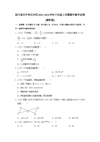 四川省巴中市巴州区2023-2024学年八年级上学期期中数学试卷