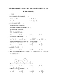 河南省郑州市桐柏一中2023-2024学年八年级上学期第一次月考数学试卷