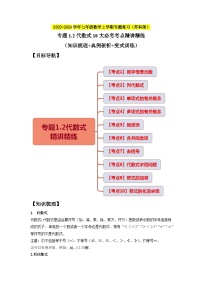 专题1.2代数式10大必考考点精讲精练（知识梳理+典例剖析+变式训练）-2023-2024学年七年级数学上学期专题复习（苏科版）