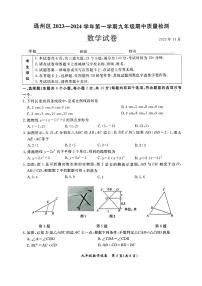 北京市通州区2023一2024学年上学期九年级期中质量检测 数学试卷