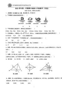 广东省广州市番禺区金海岸实验学校2023-2024学年八年级上学期期中数学试卷