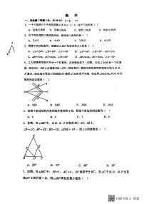 天津市双菱中学2023-2024学年八年级上学期期中数学试卷