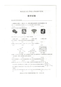 湖北省黄石市阳新县2023-2024学年八年级上学期11月期中数学试题