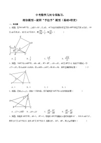 中考数学几何专项练习：相似模型--旋转“手拉手”模型