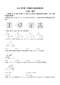 广东省广州市增城区2023-2024学年八年级上学期期中数学试题