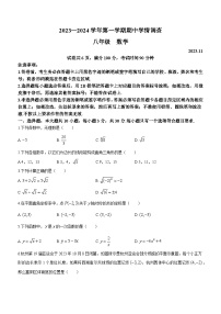 广东省深圳市龙华区2023-2024学年八年级上学期期中数学试题