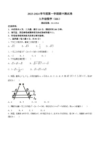 河南省周口市郸城县优质中学联考2023-2024学年九年级上学期期中数学试题