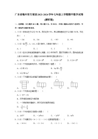 广东省梅州市大埔县2023-2024学年七年级上学期期中数学试卷