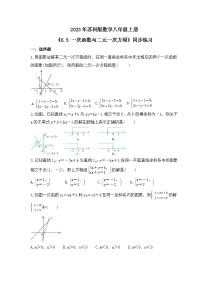 数学八年级上册第六章 一次函数6.5 一次函数与二元一次方程精品课后作业题