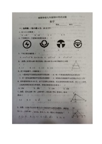 四川省成都市青白江区城厢学校2023-2024学年九年级上学期期中考试数学试题