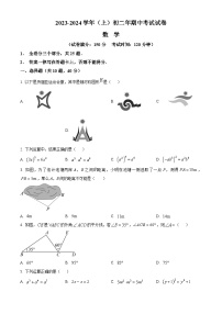 福建省厦门市双十中学2023-2024学年八年级上学期期中数学试题