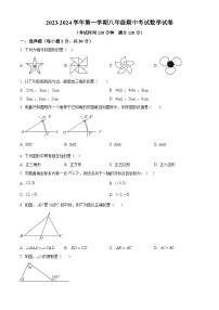 广东省惠州市小金茂峰学校2023-2024学年八年级上学期期中数学试题