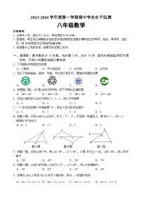 广东省韶关市新丰县2023-2024学年八年级上学期期中考试数学试题