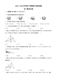 黑龙江省齐齐哈尔市龙江县10校联考2023-2024学年八年级上学期期中数学试题