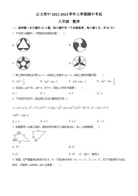 云南省昆明市五华区云南大学附属中学2023-2024学年八年级上学期期中数学试题