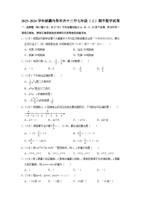 新疆乌鲁木齐市第十三中学2023-2024学年七年级上学期期中数学试卷