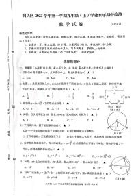 浙江省温州市洞头区2023-2024学年九年级上学期11月期中数学试题