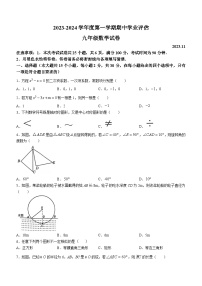 河北省唐山市路南区2023-2024学年九年级上学期期中数学试题