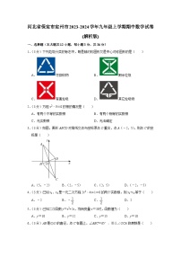 河北省保定市定州市2023-2024学年九年级上学期期中数学试卷