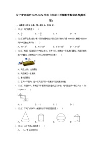 辽宁省本溪市2023-2024学年七年级上学期期中数学试卷