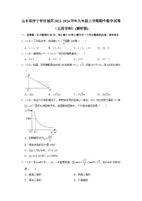 山东省济宁市任城区2023-2024学年九年级上学期期中数学试卷（五四学制）